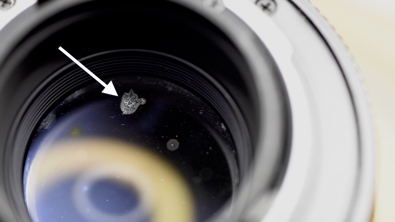 Fungus in cameras and lenses Worldwide Camera Exchange blog